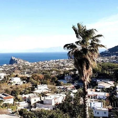 Il Glicine Ischia