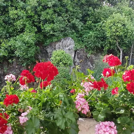 Il Glicine Ischia