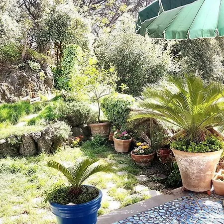 Apartment Il Glicine
