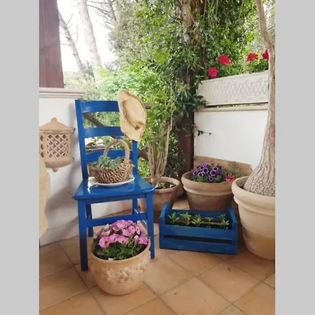 Apartment Il Glicine