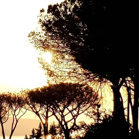 Il Glicine Appartamento *