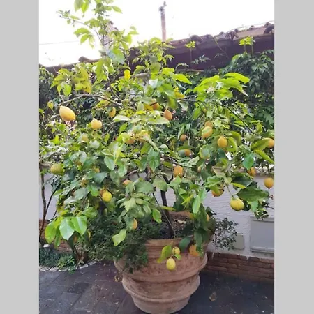 Appartamento Il Glicine *