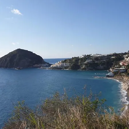 Il Glicine Apartment Ischia