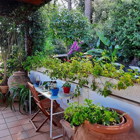 Apartment Il Glicine