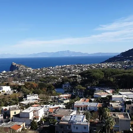 Il Glicine Appartamento Ischia